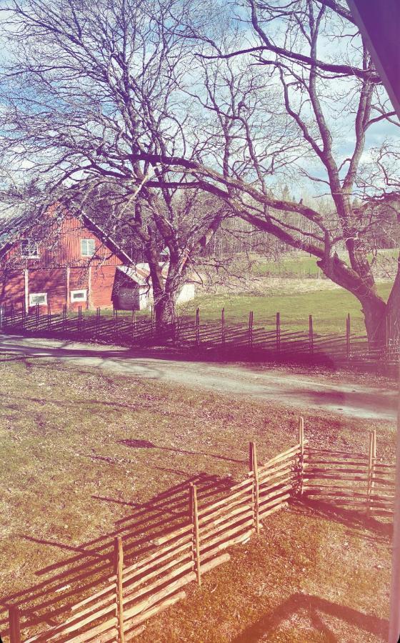 Ruth & Iris Farmhouse 네슈 외부 사진